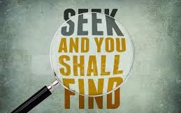 seek and find